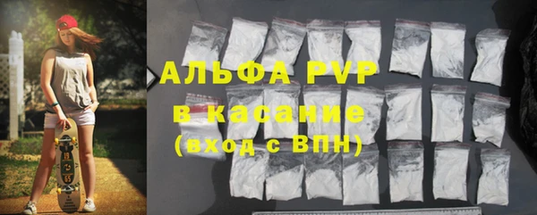 гидра Карпинск