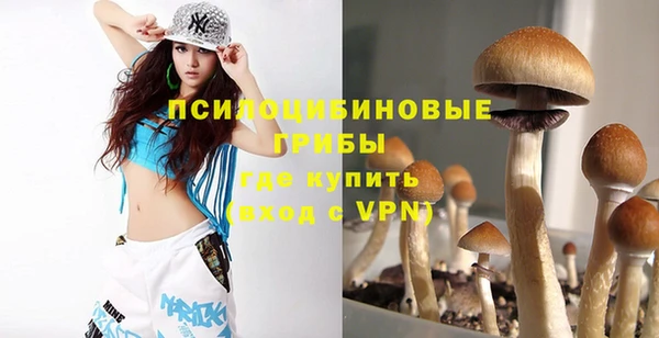гидра Карпинск
