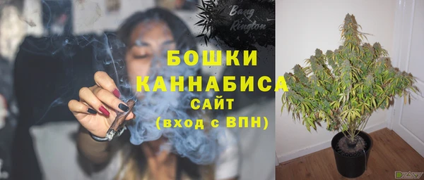 гидра Карпинск