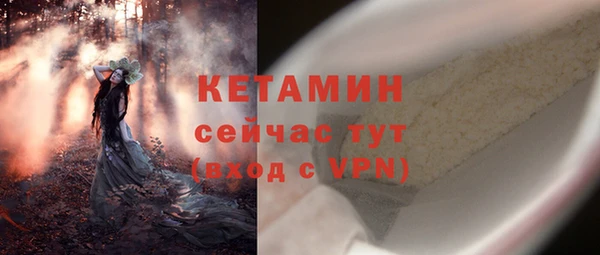 гидра Карпинск