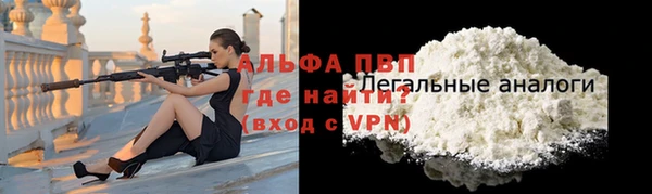 гидра Карпинск