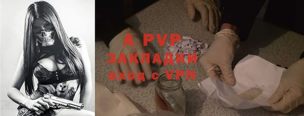 гидра Карпинск