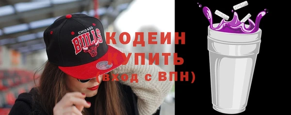 гидра Карпинск