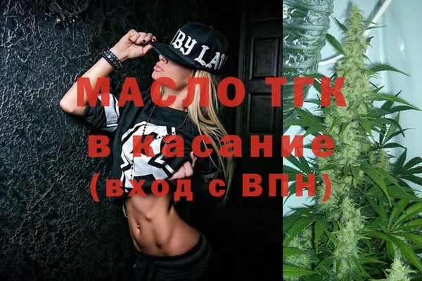 гидра Карпинск