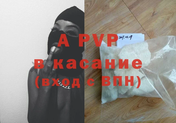 гидра Карпинск