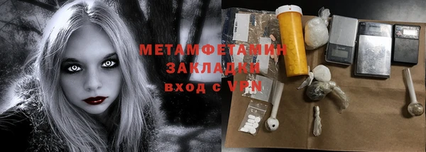 гидра Карпинск