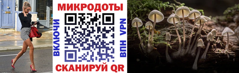 Галлюциногенные грибы прущие грибы  Купить  Мончегорск 